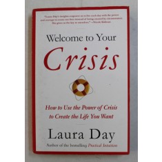 WELCOME TO YOUR CRISIS by LAURA DAY , 2007
