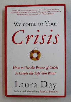 WELCOME TO YOUR CRISIS by LAURA DAY , 2007 foto