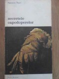 Secretele Capodoperelor - Madeleine Hours, Meridiane 1982, Biblioteca de Arta, Carte Arta, Romana, 128 Pagini