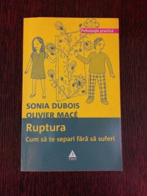 RUPTURA - CUM SA TE SEPARI FARA SA SUFERI - SONIA DUBOIS, OLIVIER MACE foto