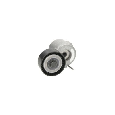 Intinzator curea OPEL ZAFIRA B A05 DAYCO APV2995 foto