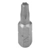 Set 10 BITI TORX T10 DOMAX