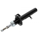 Amortizor fata Citroen C2 2003-2012, C3 2003-2009, Peugeot 1007 2005-, Dreapta, 5202GE