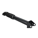 Amortizor gaz Mercedes Gle Coupe (C292) 03.15-10.19, Spate, Bilstein