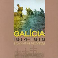 Galícia - 1914-1916 arcvonal és hátország - Sebestyén Mihály