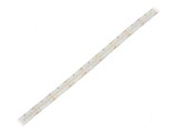 Bandă LED alb rece 2216 24V 280 LED/m 10mm IP65