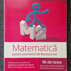 MATEMATICA EXAMENUL DE BACALAUREAT Andronache Serbanescu Clubul Matematicienilor