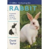 Rabbit - A practical guide to caring for your rabbit