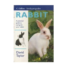 Rabbit - A practical guide to caring for your rabbit