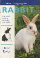 Rabbit - A practical guide to caring for your rabbit foto