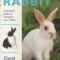 Rabbit - A practical guide to caring for your rabbit