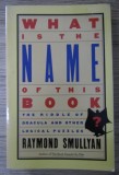 Raymond Smullyan - What is the name of this book (despre teoremele lui Godel)