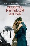 Secretul fetelor din pod - Paperback brosat - Marius Gabriel - Corint, 2024