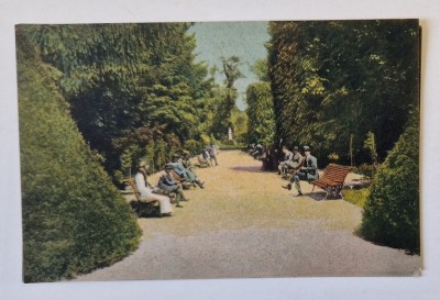 TARGU - JIU , GRADINA PUBLICA , CARTE POSTALA , INCEPUTUL SEC. XX foto