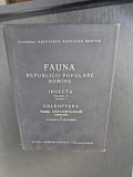 Fauna Republicii Populare Rom&icirc;ne - S. Panin și N. Săvulescu