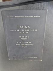 Fauna Republicii Populare Rom&amp;icirc;ne - S. Panin și N. Săvulescu foto