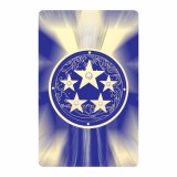 Card de protectie cu amuleta celor 5 stele &amp;#8211; amuleta anuala a celor 5 stele