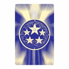 Card de protectie cu amuleta celor 5 stele &amp;#8211; amuleta anuala a celor 5 stele