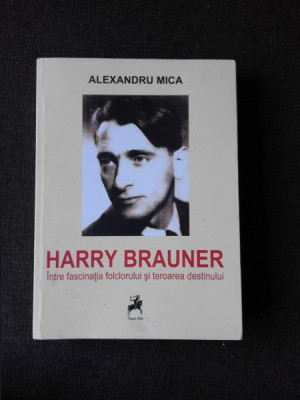 HARRY BRAUNER INTRE FASCINATIA FOLCLORULUI SI TEROAREA DESTINULUI - ALEXANDRU MICA foto