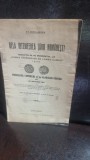 De la intemeerea tarii Romanesti INSCRIPTIA DE PE MORMANTUL LUI COMES LAURENCIUS DE LONGO CAMPO 1300. PRIVILEGIUL COMERCIAL AL LUI VLADISLAV VOEVOD DI