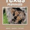 Texas Mammals Nature Activity Book: Games &amp; Activities for Young Nature Enthusiasts