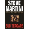 Steve Martini - Sub Teroare