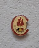 Insigna Pionier RSR - Comandant de Detasament