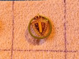 Insigna fotbal - Federatia de Fotbal din BELGIA