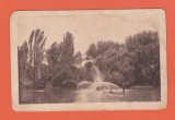 AMS @ - ILUSTRATA BUCURESTI, PARCUL CISMIGIU, CIRCULATA spre SUCEAVA