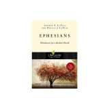 Ephesians: Wholeness for a Broken World