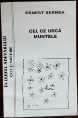 ERNEST BERNEA - CEL CE URCA MUNTELE: CREZ SI MARTURII(1996/coperta HORIA BERNEA) foto