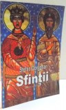 SFINTII de STEFAN DORGOSAN , 2011