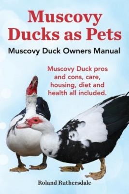 Muscovy Ducks as Pets. Muscovy Duck Owners Manual. Muscovy Duck Pros and Cons, Care, Housing, Diet and Health All Included. foto