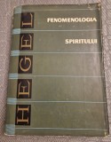 Fenomenologia spiritului Hegel