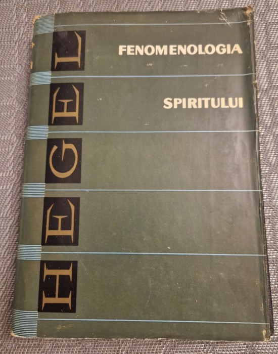 Fenomenologia spiritului Hegel