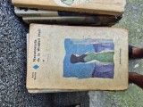 Necunoscuta de la Wildfell Hall vintage