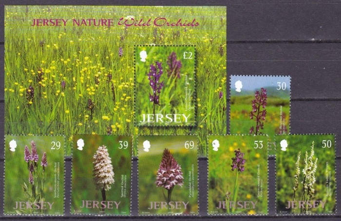 Jersey 2003 flori orhidee MI 1080-1085 + bl. 38 MNH