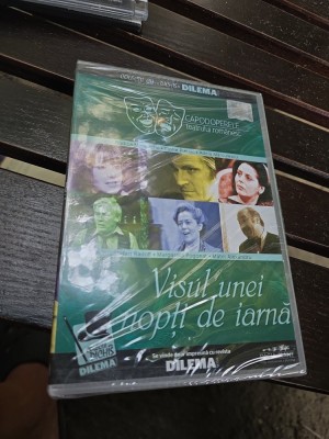 Visul unei nopți de iarnă - DVD foto