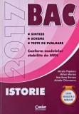 Istorie. Sinteze, scheme, teste de evaluare. Bacalaureat 2017 - Mirela Popescu