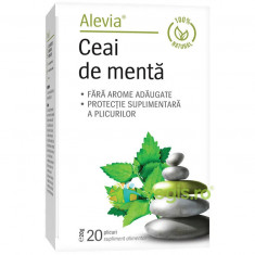 Ceai de Menta 20dz