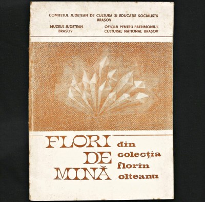 FLORI DE MINĂ DIN COLECȚIA FLORIN OLTEANU - MUZEUL JUDEȚEAN BRAȘOV - MINERIT foto