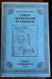 Calea sufletelor in vesnicie - Nicodim Mandita vol.1 Vamile vazduhului