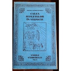 Calea sufletelor in vesnicie - Nicodim Mandita vol.1 Vamile vazduhului