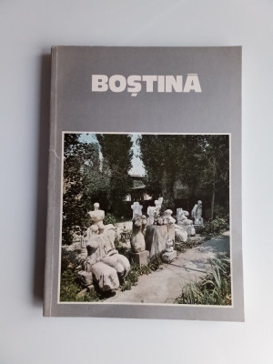 BOSTINA - VALENTINA BOSTINA ALBUM EXPOZIȚIE, SALA DALES, București. foto