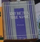 Virginia Woolf - Din Bezna Spre Soare