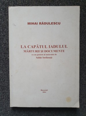 LA CAPATUL IADULUI. MARTURII SI DOCUMENTE - Mihai Radulescu foto