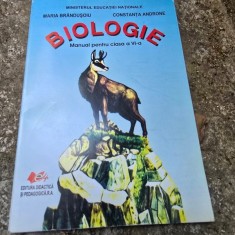 Biologie - manual pentru clasa a VI - Maria Brandusoiu