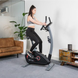 Cumpara ieftin Bicicleta fitness exercitii FLOW FITNESS DHT2000i