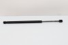 Amortizor capota st&acirc;nga față TESLA MODEL S 2014 OEM: 1955050460N,6006603 11553183