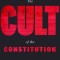 The Cult of the Constitution